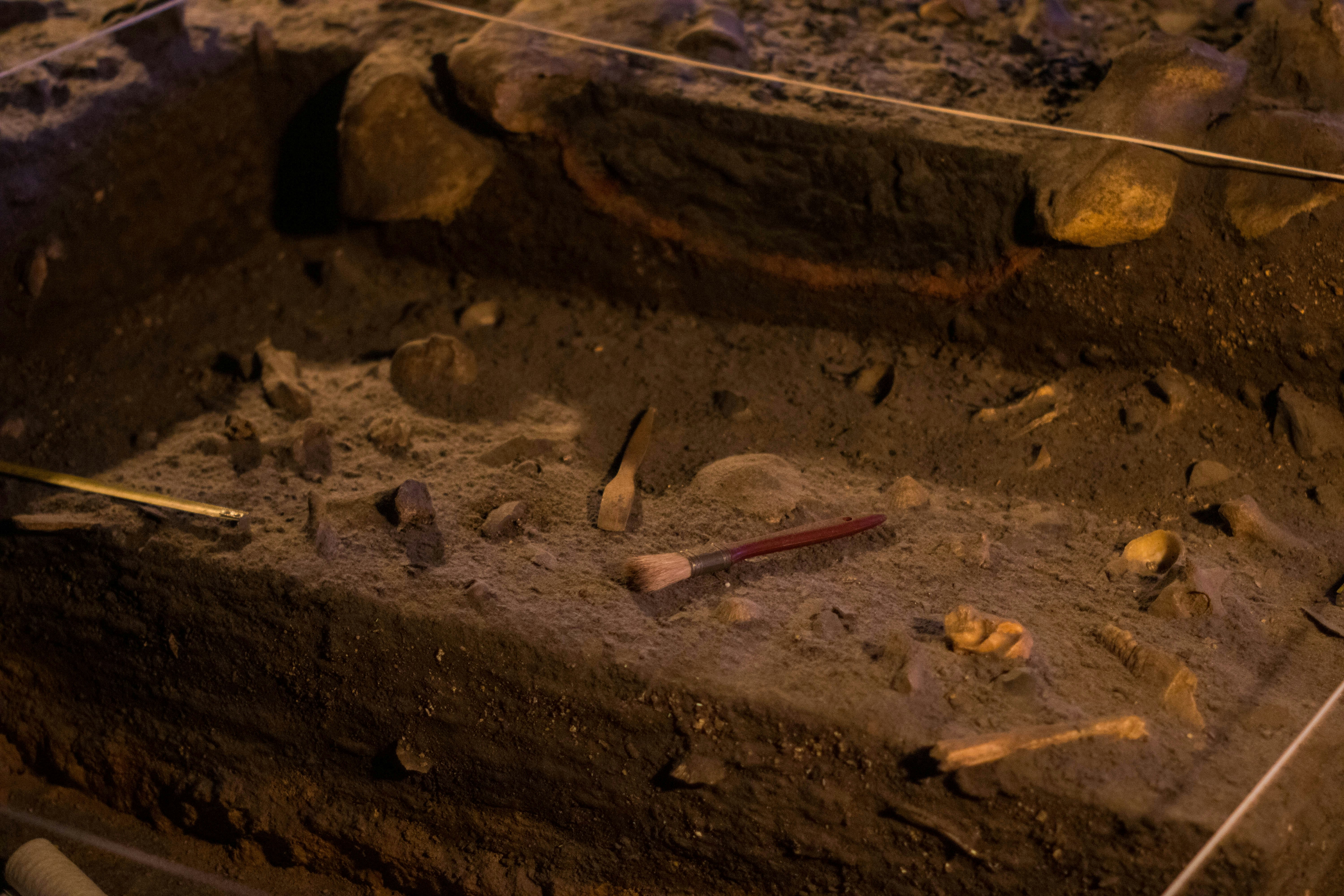 Archaeology assemblage